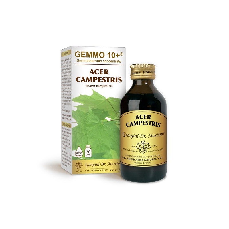 GEMMO 10+ Acero Campestre 100 ml Liquido analcoolico - Dr. Giorgini