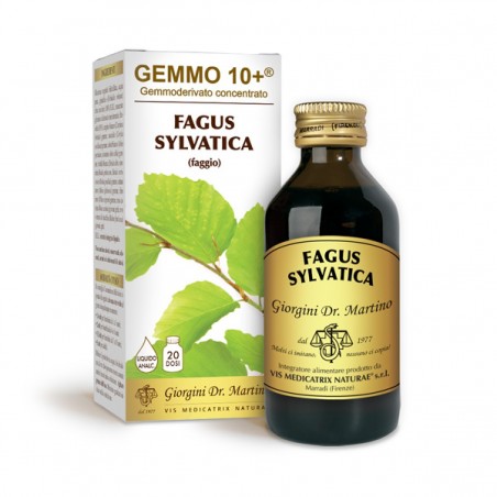 GEMMO 10+ Faggio 100 ml Liquido analcoolico - Dr. Giorgini
