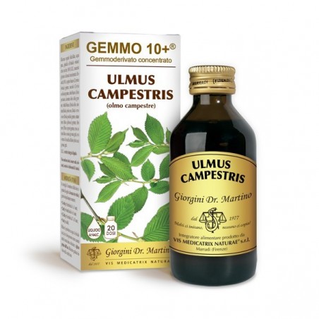 GEMMO 10+ Olmo Campestre 100 ml Liquido analcoolico - Dr. Giorgini