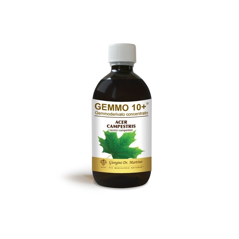 GEMMO 10+ Acero Campestre 500 ml Liquido analcoolico - Dr. Giorgini