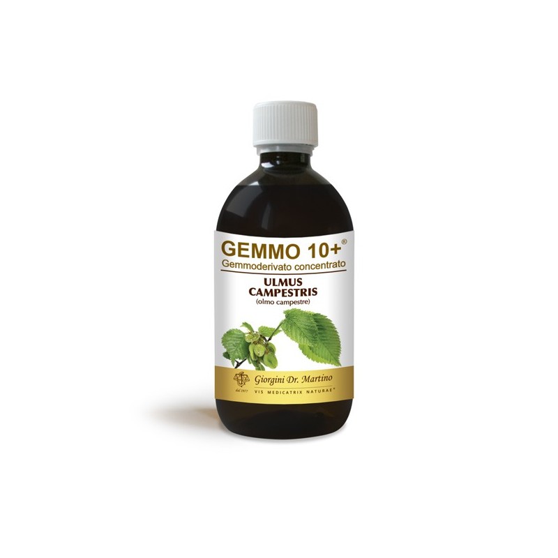 GEMMO 10+ Olmo Campestre 500 ml Liquido analcoolico - Dr. Giorgini